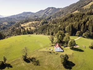 an aerial view of a house in a green field at Chalet Hinterbreiteneben in Lunz am See
