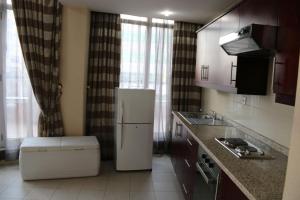 Kuchyň nebo kuchyňský kout v ubytování Harmony Hotel