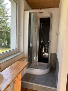 La salle de bains est pourvue d'une douche en verre et d'une fenêtre. dans l'établissement Alte Ranch, à Seesen