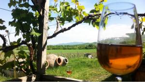 um copo de vinho sentado ao lado de um campo em New Wave em Grigoleti