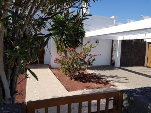 a courtyard with a fence and some plants at Villa Papagayo in Playa Blanca