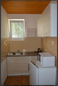 Kuchyň nebo kuchyňský kout v ubytování Apartmány Maruška