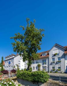 a building with a tree in front of a street at Stadthotel Pfeffermühle in Gengenbach