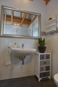 ein Bad mit einem Waschbecken und einem Spiegel in der Unterkunft Penthaus Regine in Bruchhausen