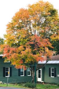 Gallery image of Restored Historic Home Half Mile to Ski Resort! in Otis
