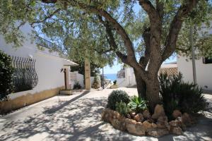 a tree in front of a house with a sidewalk at Villa Fortuna in Miami Platja