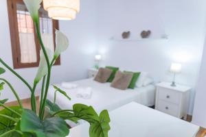 マラガにあるNICE LOFT IN MáLAGA HISTORICAL CENTERの白い部屋(ベッド1台、植物付)