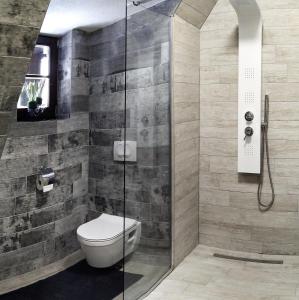 uma casa de banho com um WC e uma cabina de duche em vidro. em Plitvice Streaming em Prijeboj