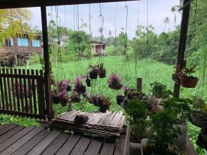 Une bande de plantes en pot assise sur une terrasse couverte dans l'établissement Cast Away, à Nonthaburi