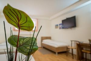 TV a/nebo společenská místnost v ubytování Guest House Mlada lipa