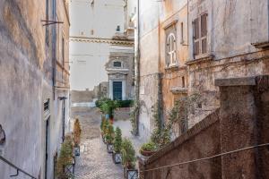 Suite Italy Roma في روما: زقاق بين مبنيين مع نباتات الفخار