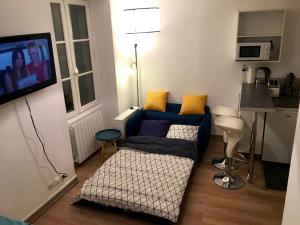 a living room with a couch and a tv at Chaleureux appartement en centre ville de Poitiers in Poitiers