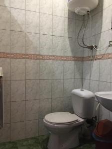 ボロフタにあるПриватна Садиба VINEMAXのトイレと洗面台付きのバスルーム