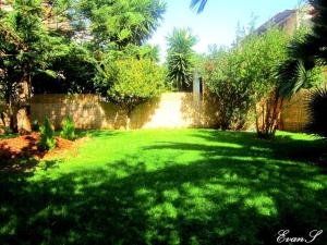 A garden outside EVANS Skiathos