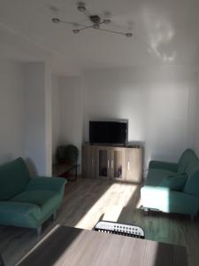 sala de estar con 2 sofás verdes y TV en Apartmán č. 2 Haliganda*** en Liptovský Hrádok