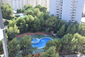 an aerial view of a swimming pool in a city at Skyline Ciudad Antena by TRG in Benidorm