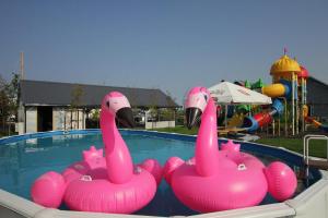 two pink flamingos in a pool at a playground at DOMY MARINA VILLAGE in Kąty Rybackie