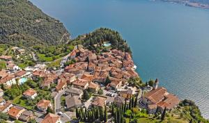 a village on a hill next to the water at Villetta Sogno sul Lago by Gardadomusmea in Tremosine Sul Garda