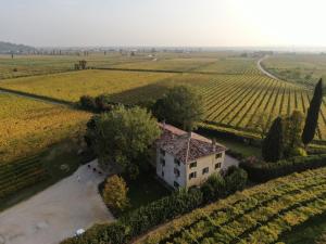 an aerial view of a house in the middle of a field at Domus Cariana in San Pietro in Cariano