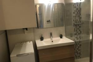 mała łazienka z umywalką i prysznicem w obiekcie Appartement vue sur le pont w mieście Honfleur