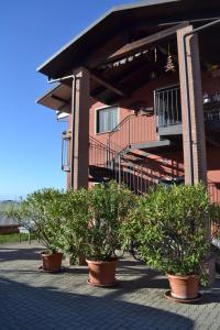 three potted trees in front of a building at El Garbin in Savigliano