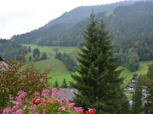 eine Kiefer auf einem Hügel mit Blumen in der Unterkunft Apartment Spillgerten-Blick by Interhome in Zweisimmen