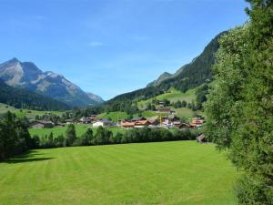 GsteigにあるApartment Sonnegg by Interhomeの山を背景に集落を見渡す緑地