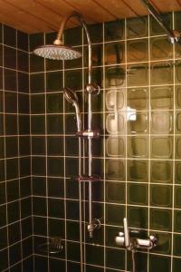 a shower in a bathroom with green tiles at Apartment Pony 2-Bettwohnung by Interhome in Lenk