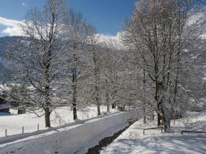 a snow covered path with trees and a fence at Apartment Pony 4-Bettwohnung by Interhome in Lenk