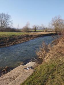 Un río con una roca en medio. en La Tanière en Sorcy-Saint-Martin