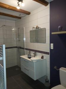 y baño con lavabo, espejo y aseo. en La Tanière en Sorcy-Saint-Martin