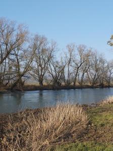 un río con árboles a su lado en La Tanière en Sorcy-Saint-Martin