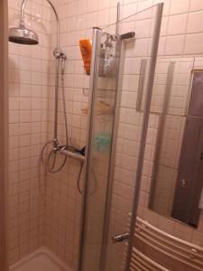 La salle de bains est pourvue d'une douche avec une porte en verre. dans l'établissement Homey Budget Bedroom, à Amsterdam