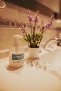 a bottle of san jax soap sitting on a bathroom sink at San Rafael Group Hotel in San Rafael