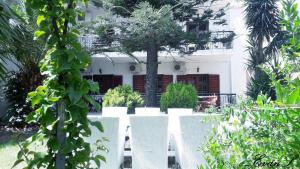 A garden outside EVANS Skiathos