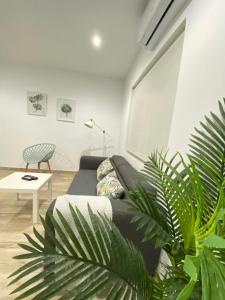 a living room with a black couch and some plants at Nova Domus Apartamentos in Mérida