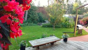 Zahrada ubytování U of A Homestay, Trails & Whyte Ave