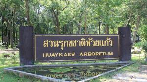 Galeri foto GO INN Chiang Mai University - CMU di Chiang Mai