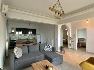 PentátionにあるCoralli Pentati 2 "Dimitris Apartments"のリビングルーム(グレーのソファ付)、キッチンが備わります。