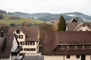 un gruppo di case con montagne sullo sfondo di HAUS IRENE gemütlich moderner Schwarzwald a Baiersbronn