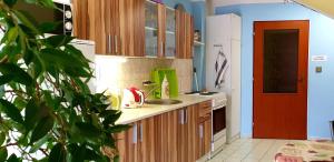 eine Küche mit Holzschränken und einem weißen Kühlschrank in der Unterkunft Penzion U Sýkorů in Domanín