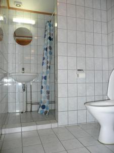y baño con ducha, aseo y lavamanos. en Jønndalen Høyfjellseter en Uvdal