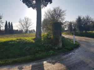 Vonkajšia záhrada v ubytovaní Cortona Gabolina e Turata Holiday Home
