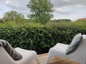 Zahrada ubytování Wetterdelle Lodge