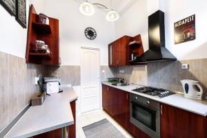 a kitchen with wooden cabinets and a stove top oven at Art Dream Apartment in Budapest