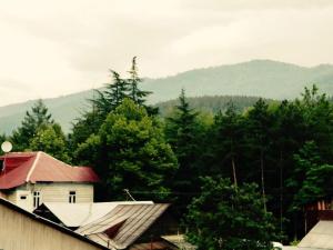 Gallery image of Erik's Guest House in Borjomi