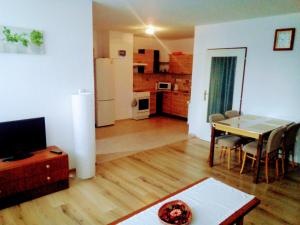 Kuchyň nebo kuchyňský kout v ubytování apartmán U parku