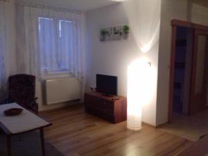 TV a/nebo společenská místnost v ubytování apartmán U parku