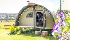 a small dome tent in a field with flowers at BCC Lochness Glamping in Bearnock