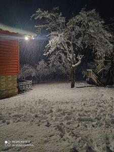 Imagen de la galería de Luka House, en Akhaldaba